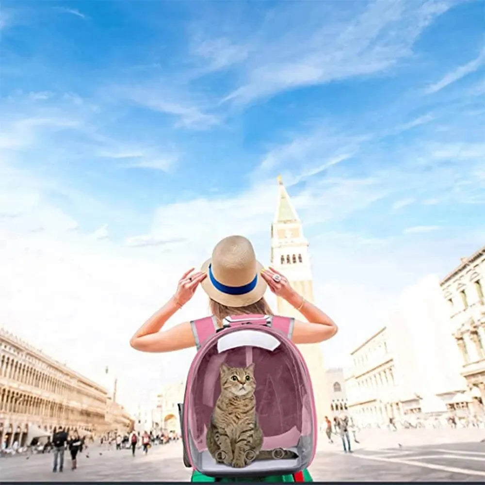 TravelPaw pet carrier backpack with transparent bubble window. Perfect for small dogs, cats, and pet adventures.