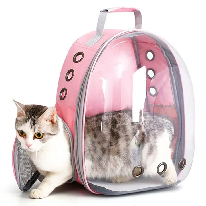 Clear pet carrier backpack for puppy or kitten comfort. Safe & breathable pet travel bag for small animals.