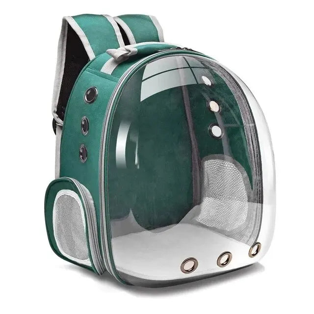 Stylish transparent pet backpack for small dogs & cats. Modern pet carrier for safe & comfortable travel.