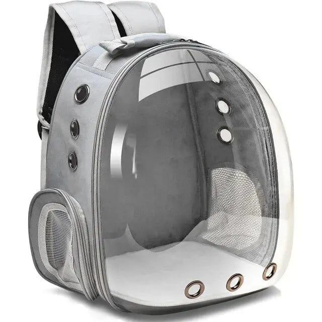 Happy small dog inside a transparent pet carrier backpack. Comfortable and secure for outdoor pet travel.