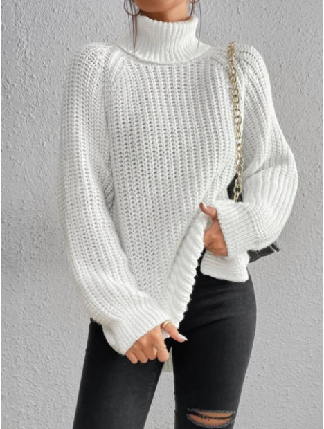Stylish long-sleeve women's turtleneck, versatile for fall apparel & casual chic.