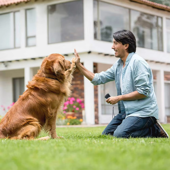 Stop dog barking with this ultrasonic anti-barking device, an effective deterrent for dog training & behavior.