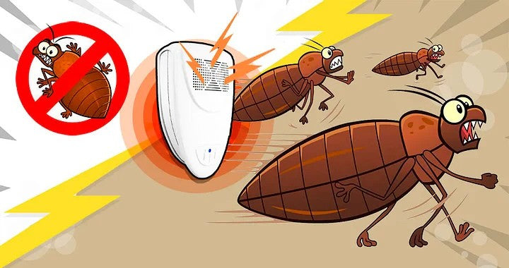 Powerful ultrasonic bed bug & insect repeller. Quick, non-toxic, and pet-safe electronic pest control for homes.