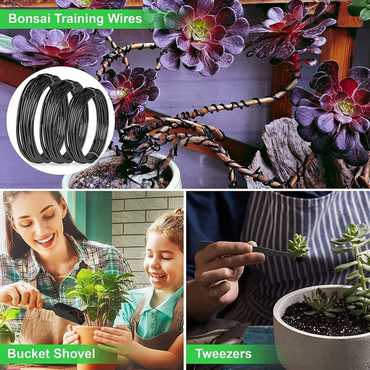 Detailed view of various steel bonsai tools from the 24-piece kit, essential for tree shaping