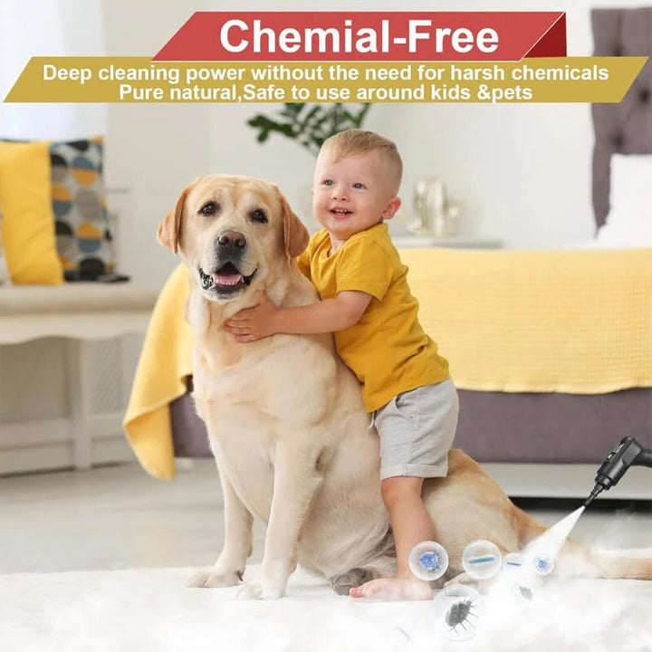 2500W high pressure steam cleaner for chemical-free car detailing, powerful and efficient.