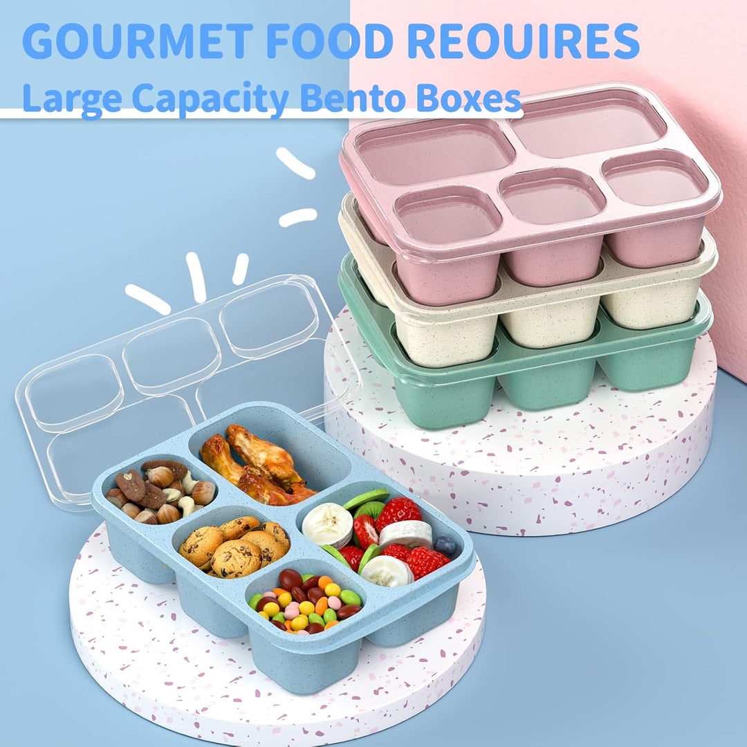 Environmentally friendly 4-pack reusable bento lunch boxes, reducing waste and promoting healthy habits.