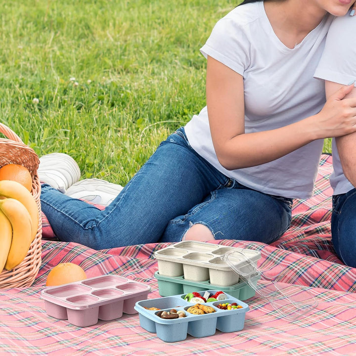 Multi-compartment bento food storage containers; a 4-pack for diverse meal options & portion control.