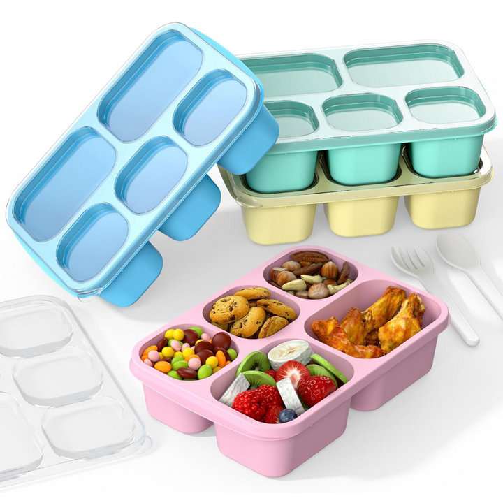 Empty 4-pack bento boxes, ready for meal prepping, featuring multiple compartments for varied foods.