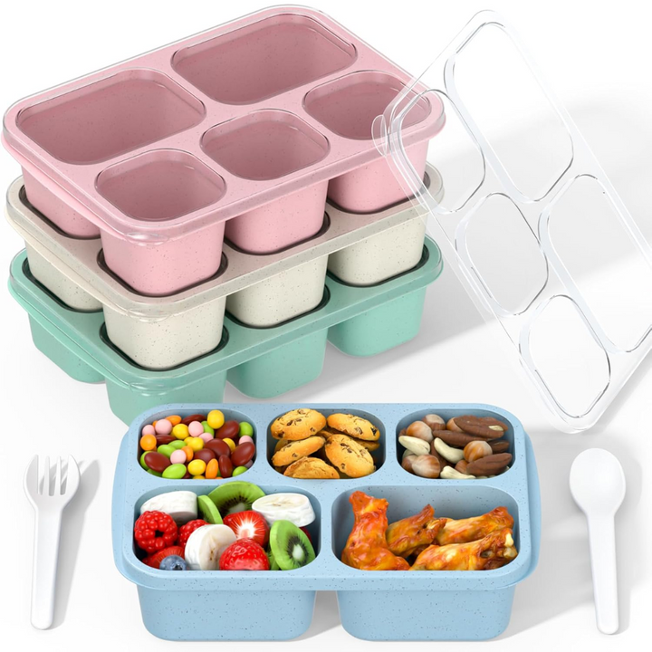 Close-up of a single bento box from the 4-pack, showcasing its leak-proof lid and spacious sections.