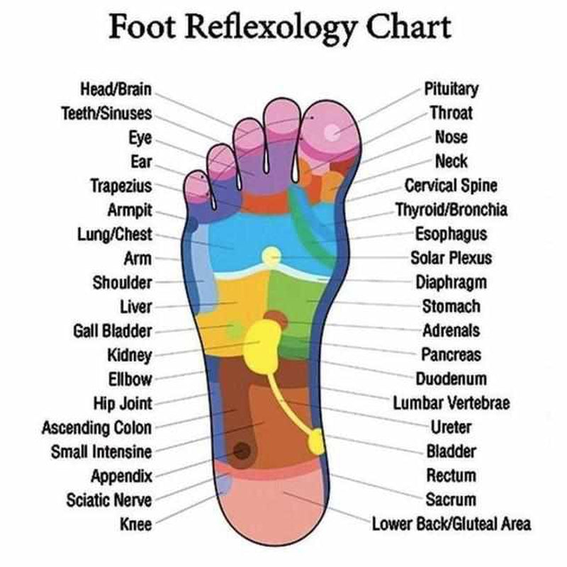 Comfortable unisex acupressure slippers with stimulating nodes for deep foot massage & natural pain relief.