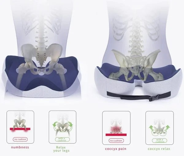 Sciatica & tailbone relief: adjustable memory foam seat cushion for long-term comfort.