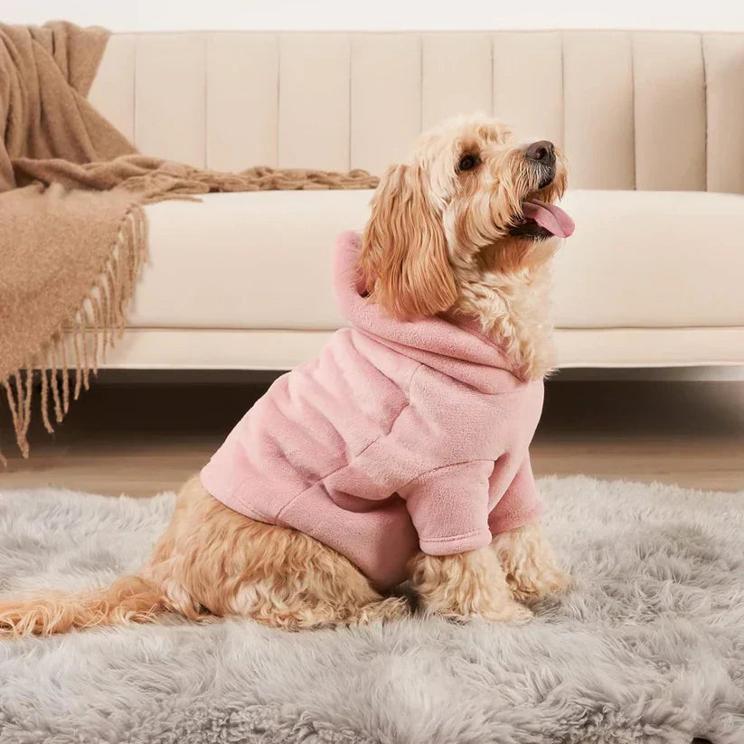 Cozy 'PawMatch' dog owner hoodie & pet apparel set, perfect for casual, coordinated comfort.