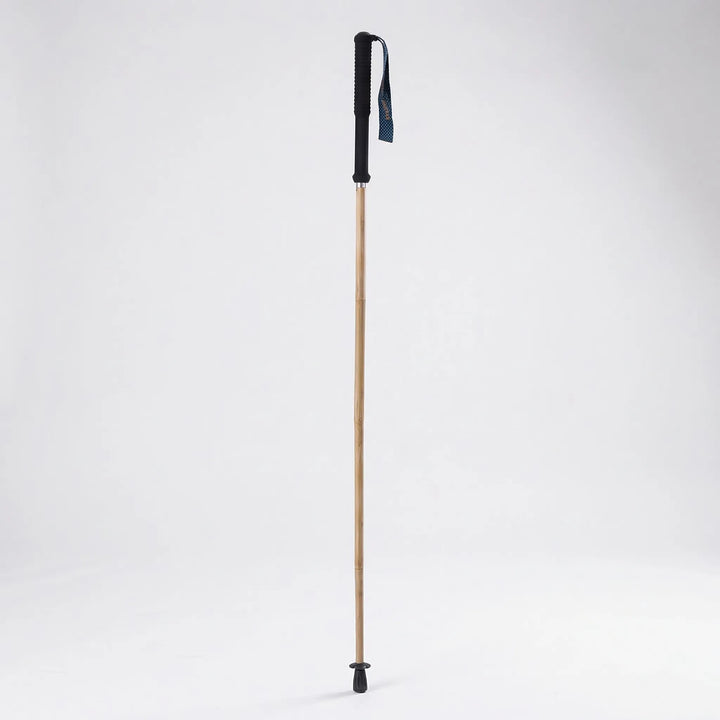 Lightweight collapsible trekking pole for hikers. Compact folding design, ideal for travel & trail walking.