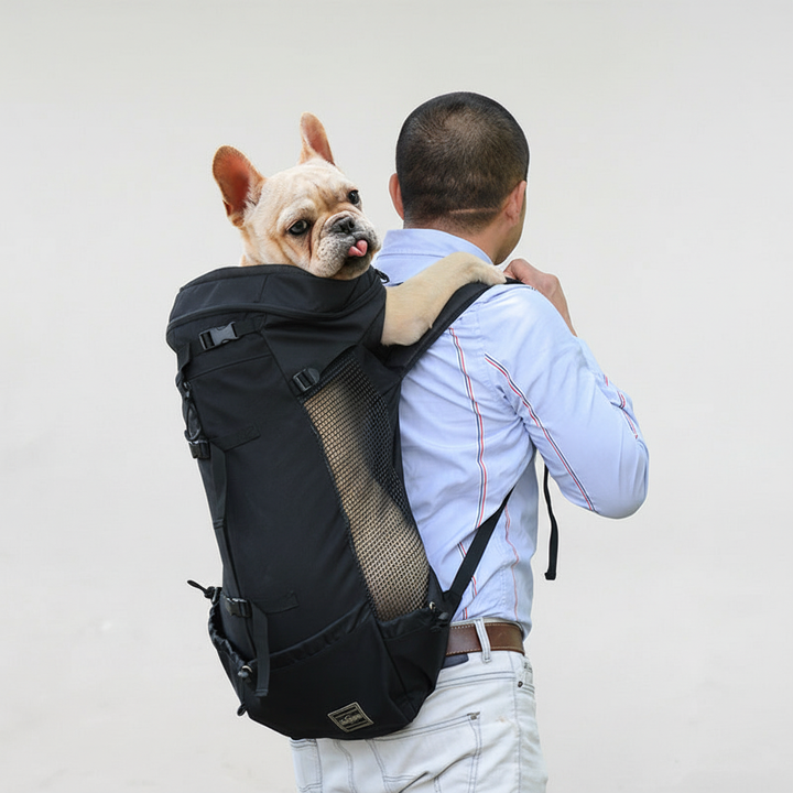 Ergonomic dog carrying backpack with reflective accents, ensuring safety during evening travel with pets.