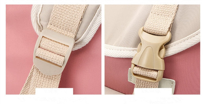 Back view of a durable lightweight backpack with padded shoulder straps & breathable back panel for comfort.
