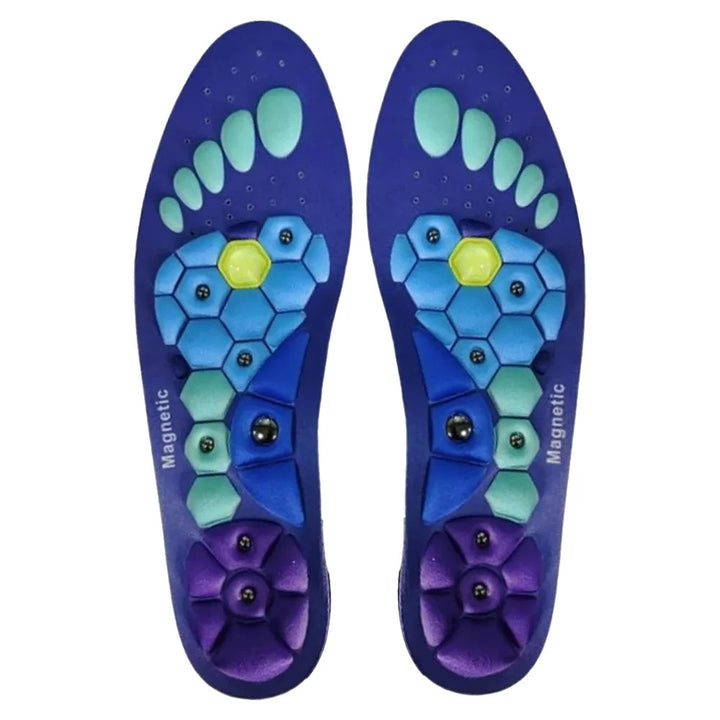 Therapeutic acupressure insoles: magnetic shoe inserts for holistic foot pain relief & improved circulation.