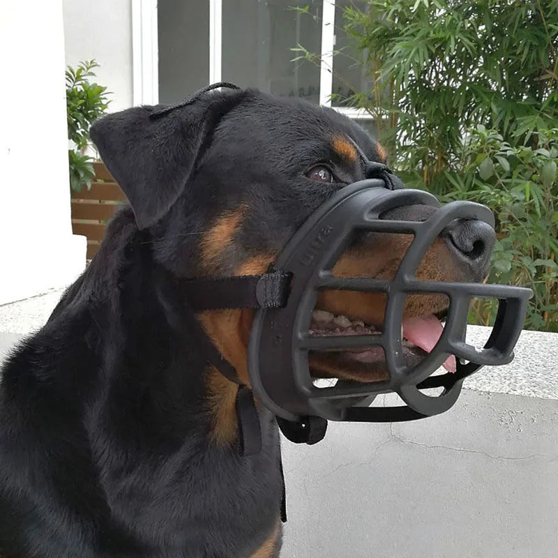 Dog wearing a unisex adjustable silicone muzzle, ensuring safety during walks & training. Anti-bite comfort.
