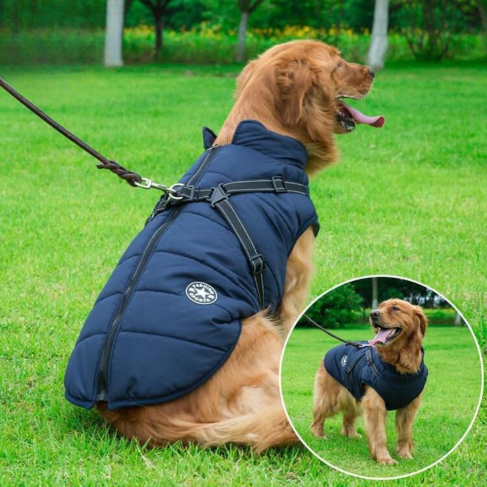 Unisex waterproof dog coat for all-weather protection, keeping your pet dry and warm during outdoor adventures.