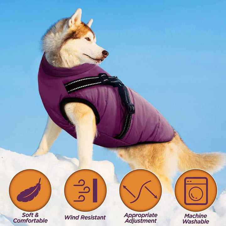 Winter dog coat with integrated harness, offering superior cold weather protection & pet safety for outdoor dogs.