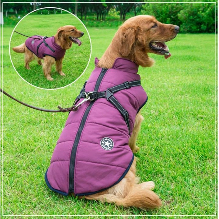 Durable waterproof dog jacket for all-season use. Essential pet apparel for rain, snow, and cold weather.