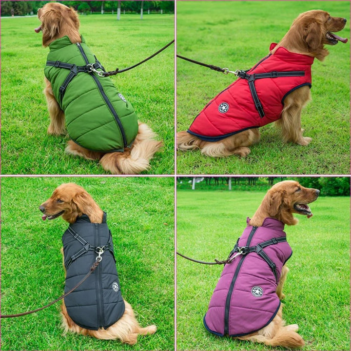 Integrated harness dog coat, waterproof & perfect for cold weather. Essential pet supplies for active outdoor dogs.