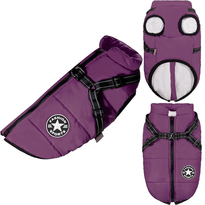 Rain gear dog jacket: a stylish waterproof dog coat providing warmth & protection for your dog in wet weather.