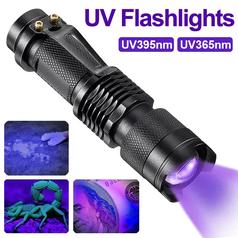 Portable ultraviolet lamp for pet stain detection, great for dog urine & home cleaning