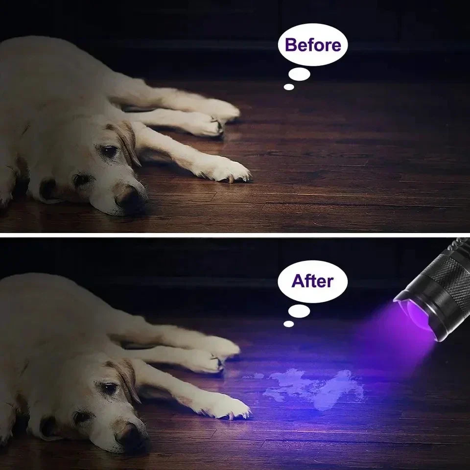Compact UV flashlight, a powerful pet urine detector for discreet dog stain removal