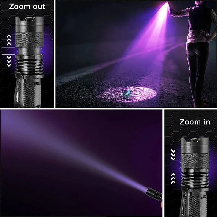 Ultraviolet lamp, pet stain detector, an effective tool for spotting dog urine on carpets