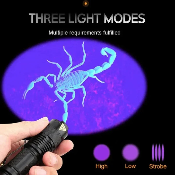 Pet stain remover UV flashlight, perfect for dog owners and home cleaning tasks
