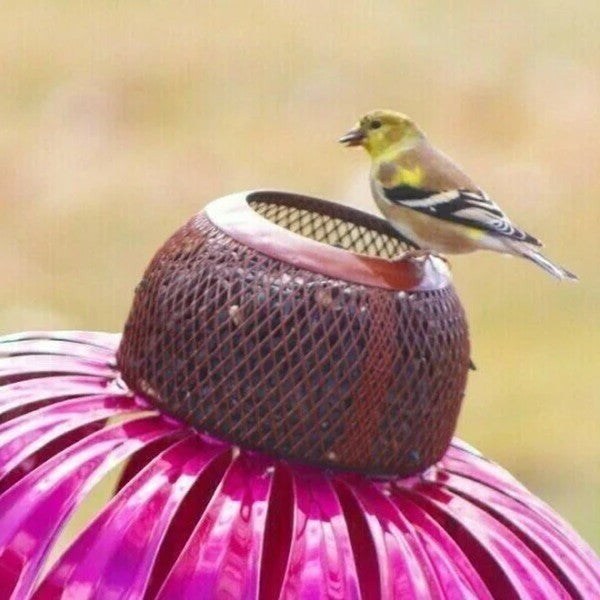 Attractive metal coneflower bird feeder, ideal garden decor for attracting diverse wild birds and enhancing outdoor spaces.