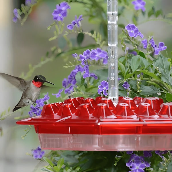 Vibrant red hummingbird feeder with integrated ant moat, ideal for garden bird watching & nectar feeding.