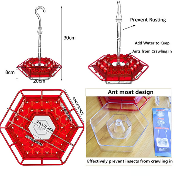Outdoor living hummingbird feeder with ant moat, providing fresh nectar and enhancing your garden's aesthetic.