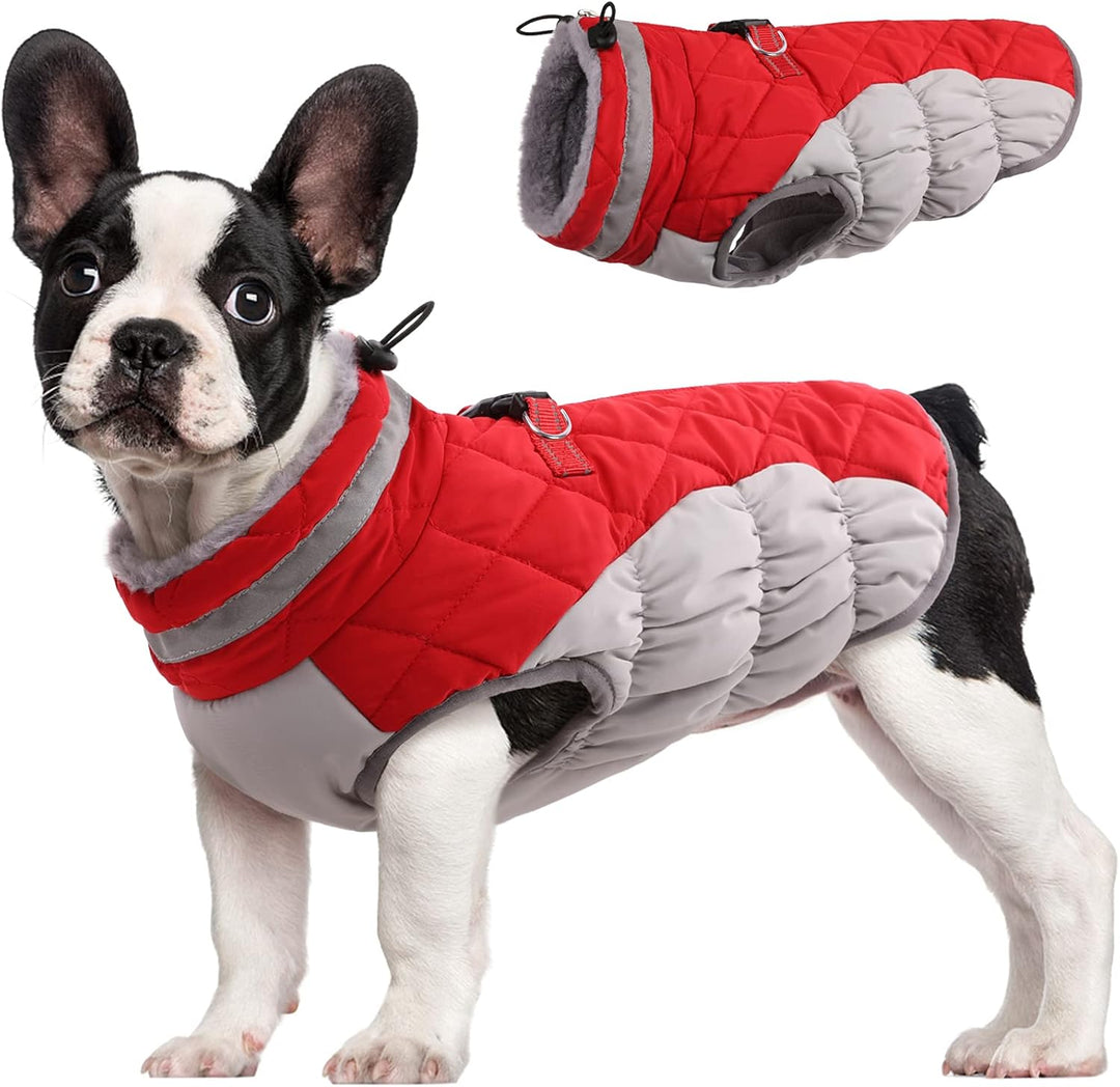 Warm dog winter jacket with integrated harness, waterproof and reflective for small dogs