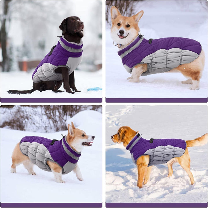 Green warm dog jacket with integrated harness, reflective, for winter and snow activities