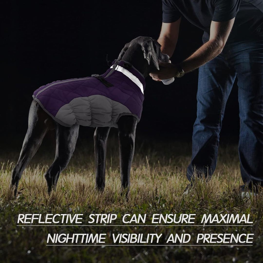 Dog winter jacket and harness combo, waterproof and warm for ultimate pet comfort