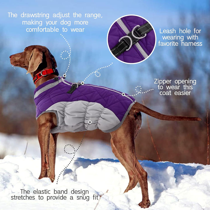 Pet apparel: Warm dog coat with integrated harness, reflective for safety, waterproof design