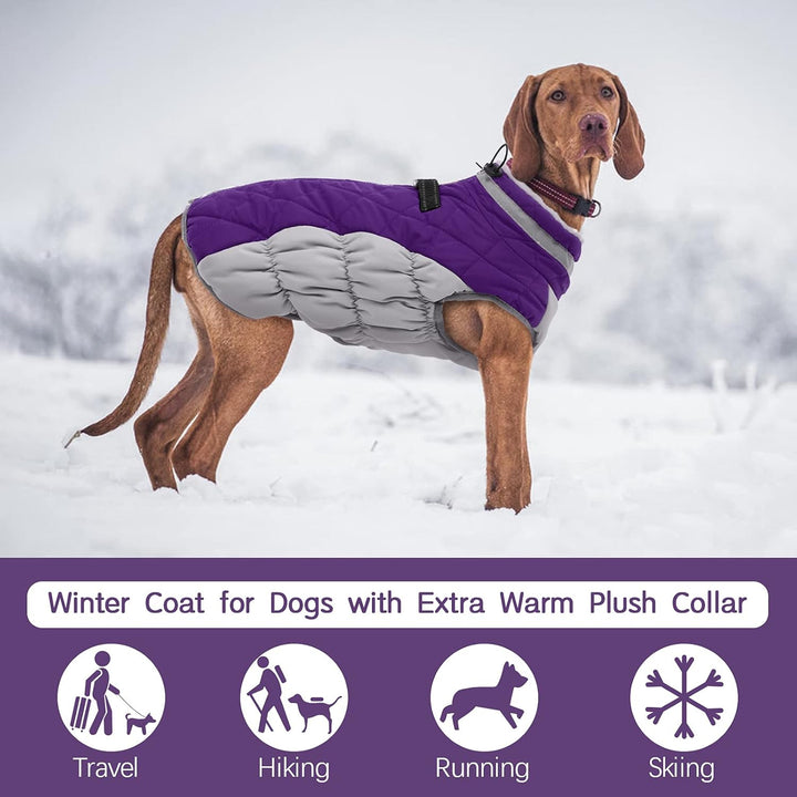 Waterproof winter dog jacket with integrated harness, red, for all sizes of dogs