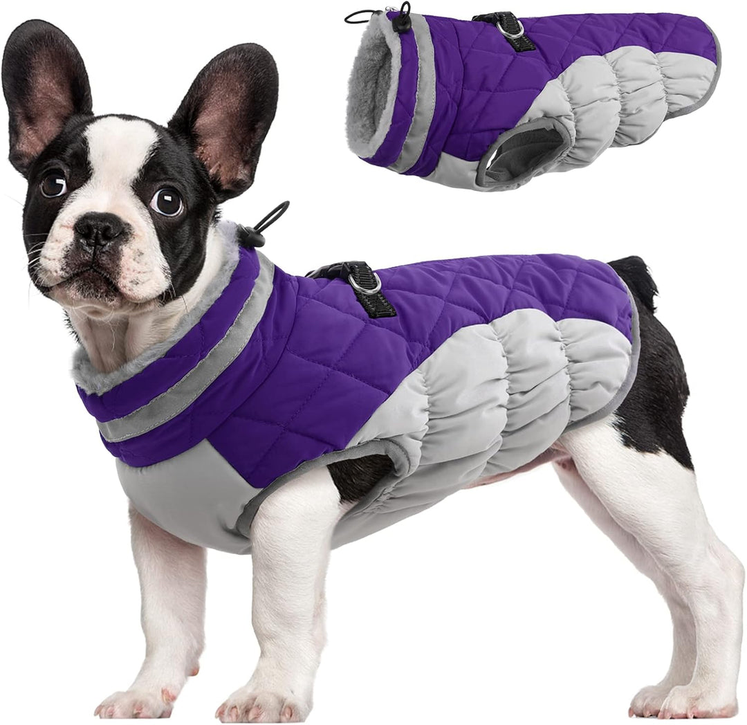 Waterproof dog winter coat with built-in harness, blue, for cold weather walks