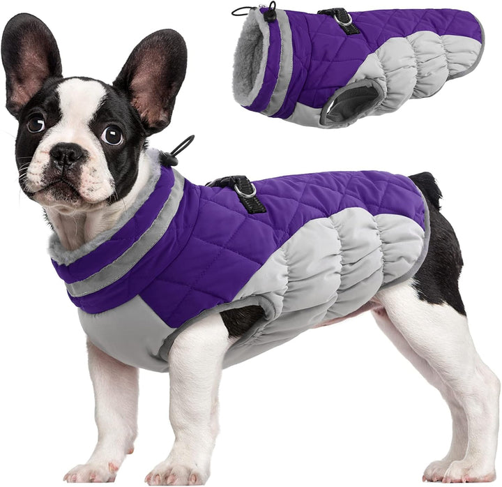 Waterproof dog winter coat with built-in harness, blue, for cold weather walks