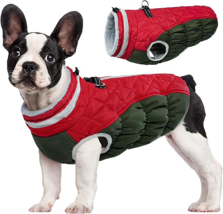 Orange dog winter jacket with integrated harness, fleece-lined for extra warmth