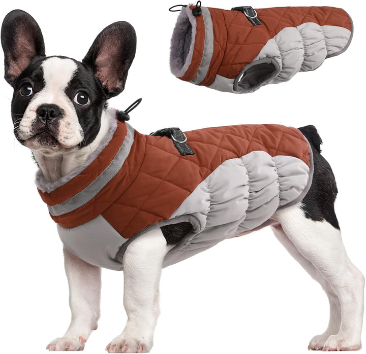 Stylish warm dog vest with integrated harness, waterproof, for adventurous dogs