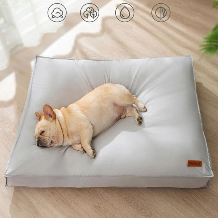 Happy dog relaxing on a spacious, comfortable waterproof dog bed. Orthopedic support for ultimate pet comfort.