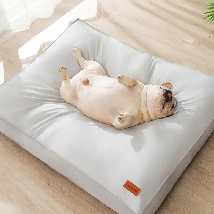 Cozy cat curled up on a soft, washable pet bed. Waterproof dog accessory for ultimate comfort & non-slip.