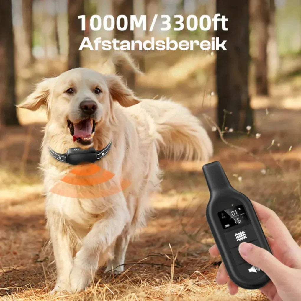 E-collar dog training system with remote, 3300ft range for effective outdoor canine obedience & behavior training.