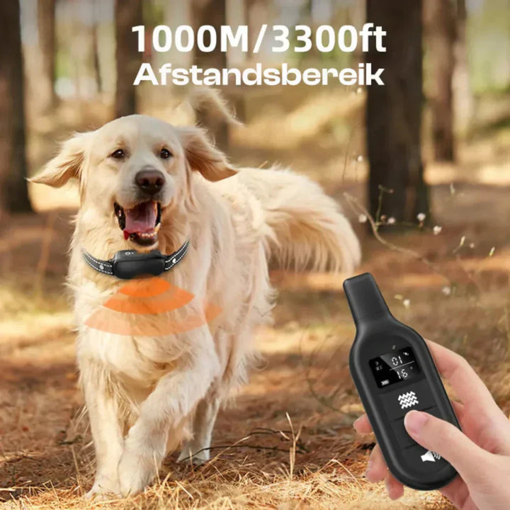E-collar dog training system with remote, 3300ft range for effective outdoor canine obedience & behavior training.