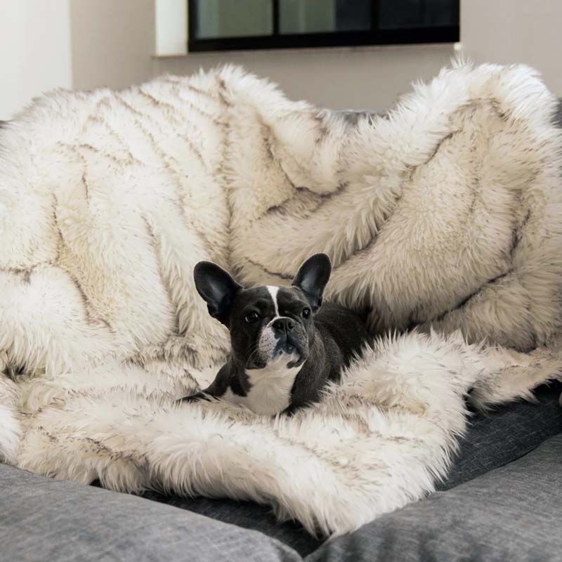 Waterproof pet blanket for dogs & cats, reversible faux fur & microsuede, protects furniture. CozyPaw™ comfort.