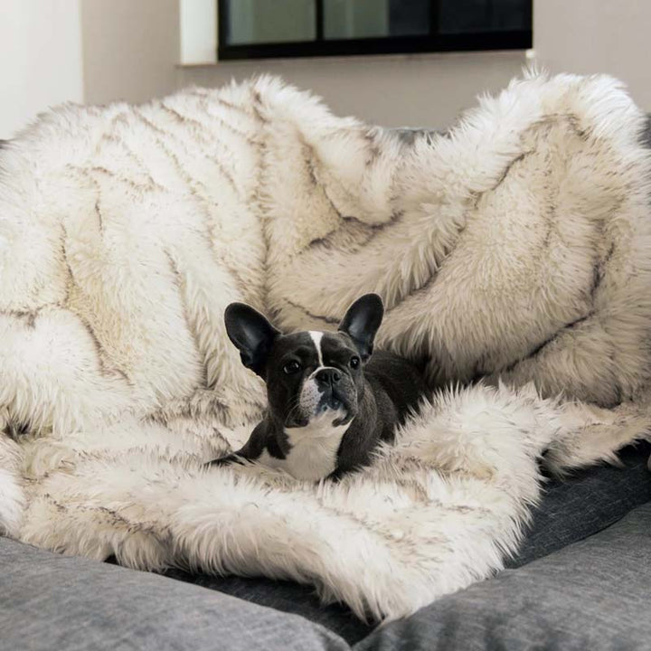 Waterproof pet blanket for dogs & cats, reversible faux fur & microsuede, protects furniture. CozyPaw™ comfort.