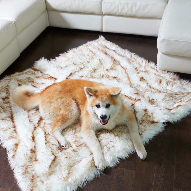 Reversible waterproof dog & cat blanket, faux fur, protects sofas & car seats from pet hair, spills. Machine washable.