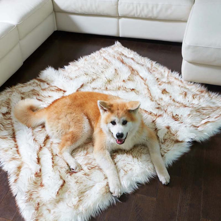 Reversible waterproof dog & cat blanket, faux fur, protects sofas & car seats from pet hair, spills. Machine washable.